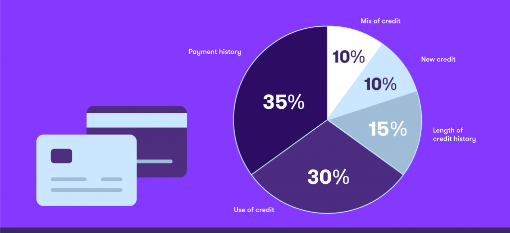 Diagram showing the weighting of factors that affect your credit score