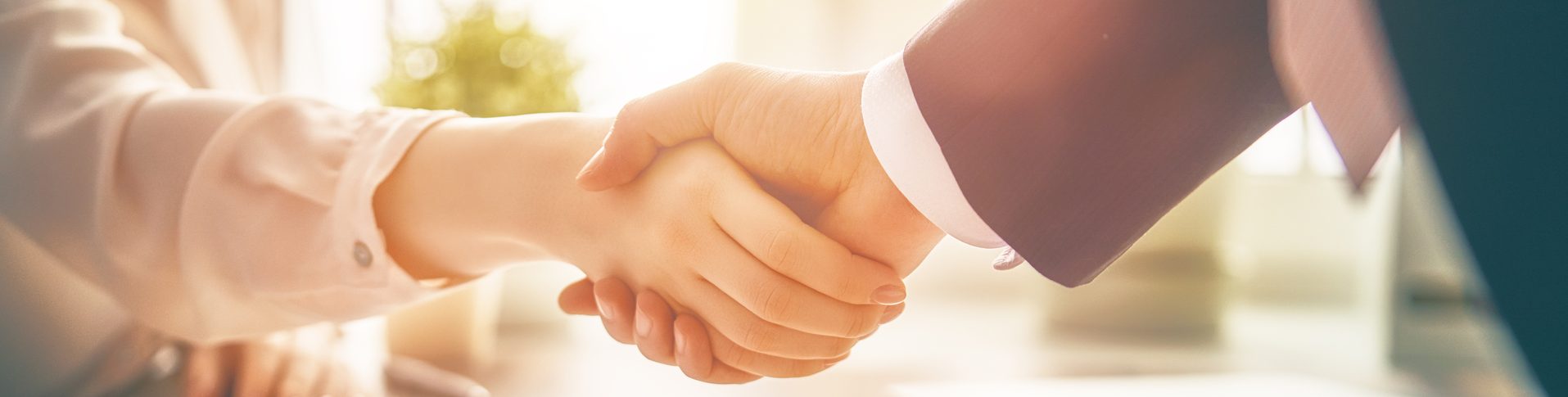 A handshake between a client and a counsellor in financial recovery