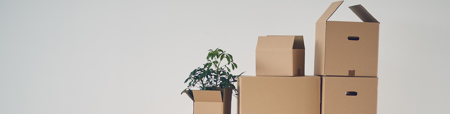 Five Tips for a Move That Won’t Break the Bank